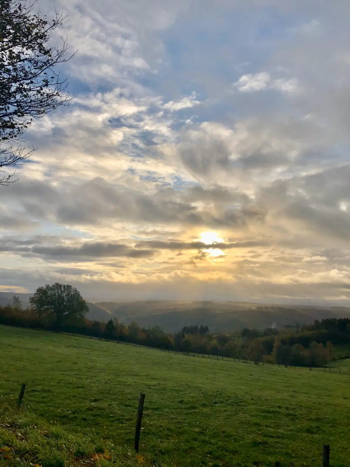 Rurseeparadies Kienert - Kienert Christof - Ferienhaus - Außenansicht