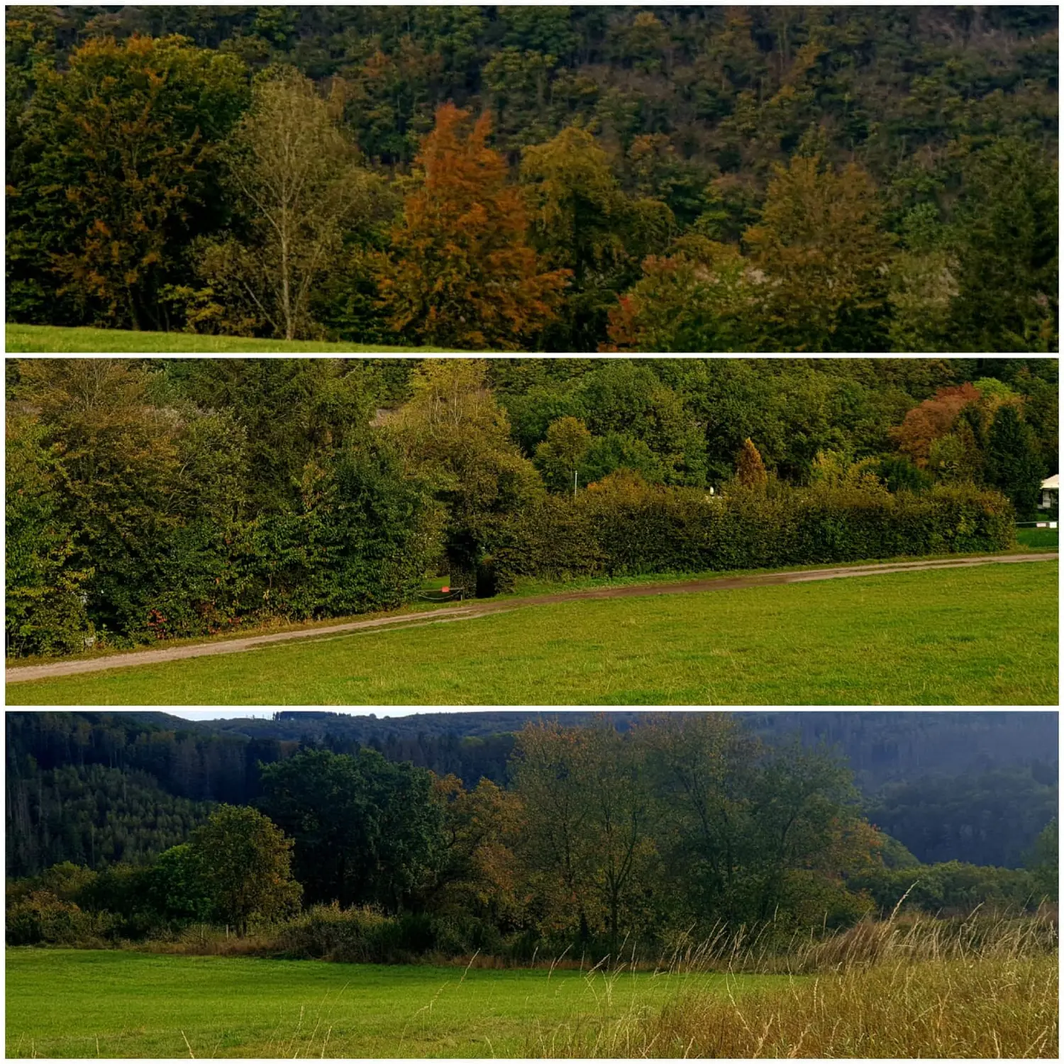 Rurseeparadies Kienert - Kienert Christof - Ferienhaus - Außenansicht