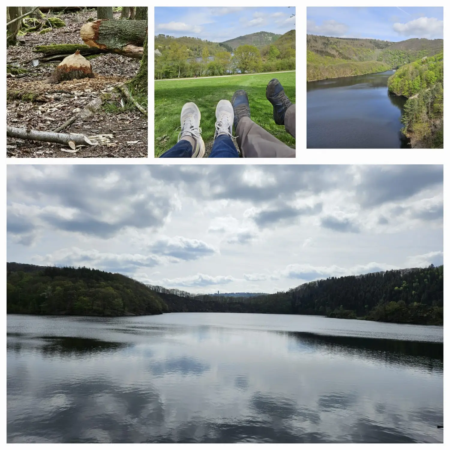Rurseeparadies Kienert - Kienert Christof - Ferienhaus - Außenansicht
