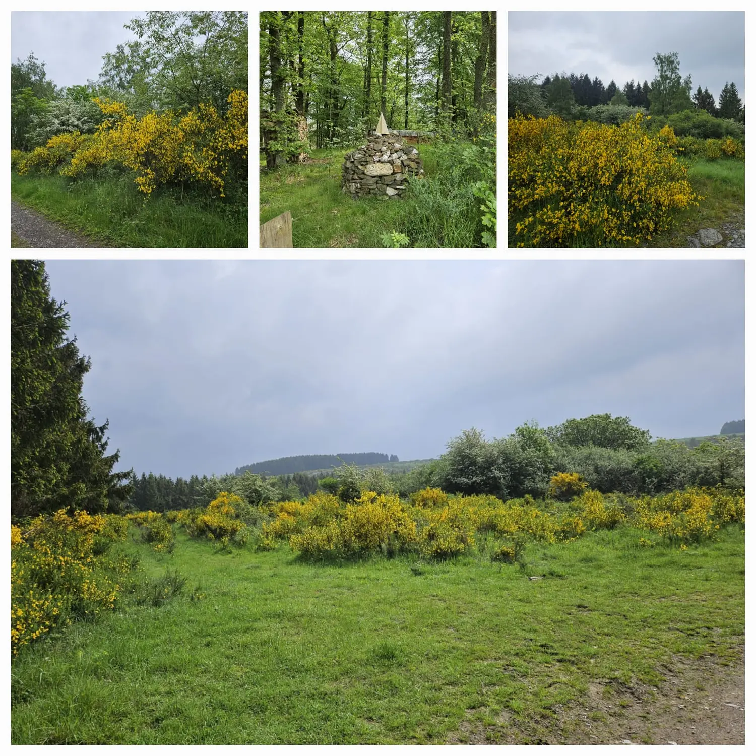 Rurseeparadies Kienert - Kienert Christof - Ferienhaus - Außenansicht