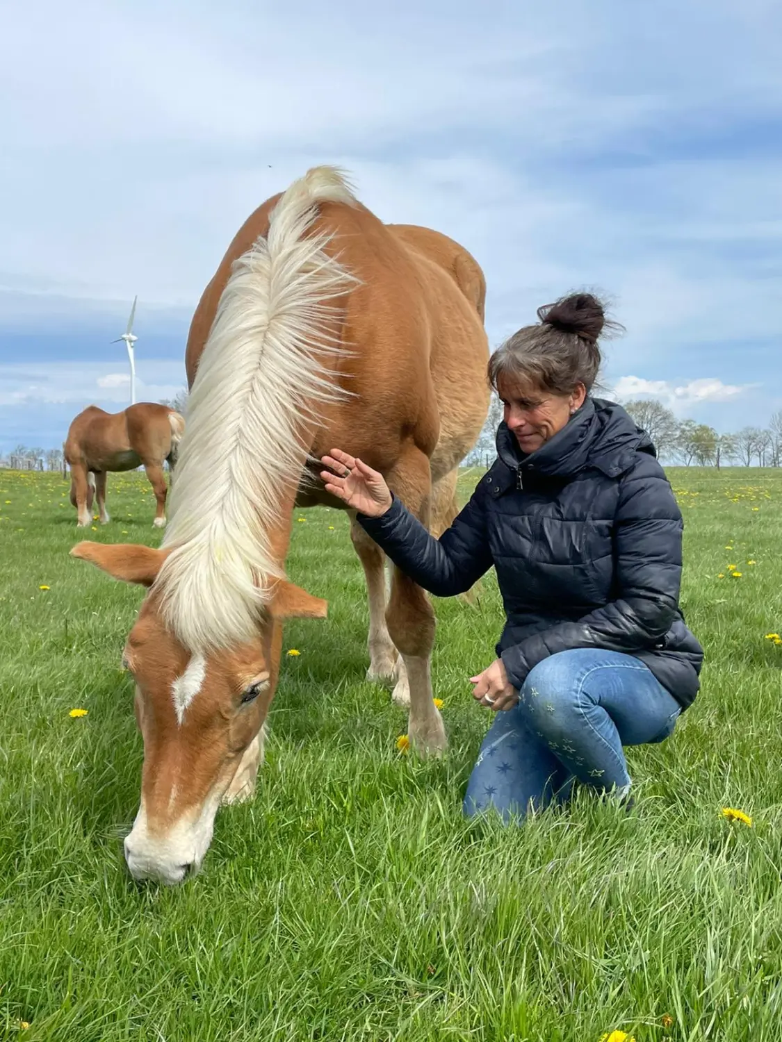 Rurseeparadies Kienert - Kienert Christof -